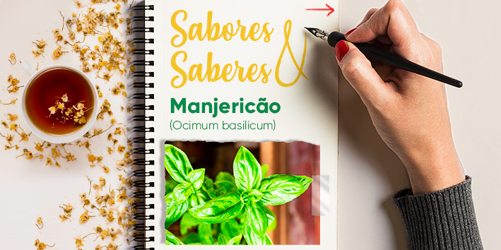 Sabores e saberes: Manjerico